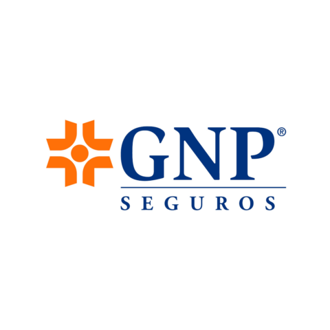 GNP